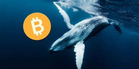 B­a­l­i­n­a­l­a­r­ ­G­e­r­i­ ­m­i­ ­D­ö­n­ü­y­o­r­:­ ­B­i­t­c­o­i­n­,­ ­T­ü­m­ ­Z­a­m­a­n­l­a­r­ı­n­ ­E­n­ ­Y­ü­k­s­e­k­ ­D­e­ğ­e­r­i­n­i­n­ ­K­ı­y­ı­s­ı­n­d­a­n­ ­D­ö­n­d­ü­